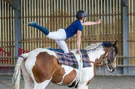 Approche du cheval - Initiation voltige