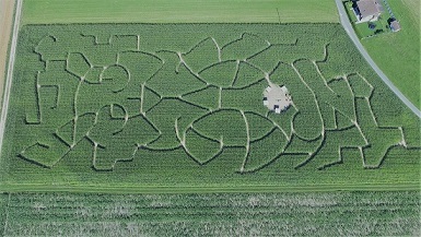 Labyrinthe de Maïs + Parc animalier au Landeron